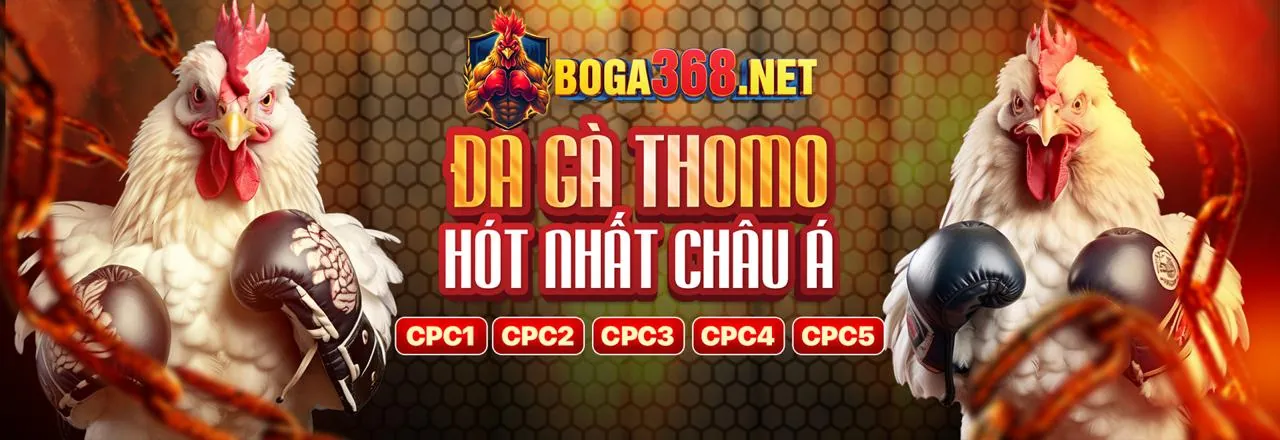 Trưng bày các lợi ích khi đăng ký tại 88clb nhà cái